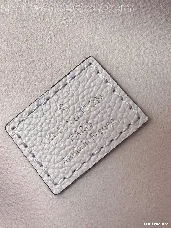 Fake Louis Bags VUITTON LOUIS LOOP HOBO 0502